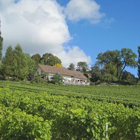Domaine Beauregard Hotel Rolle Eksteriør billede